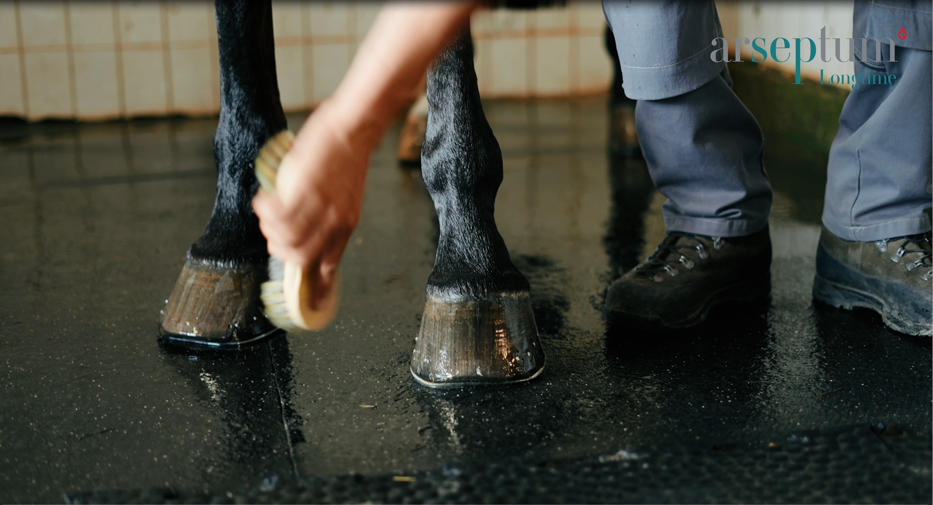 proper-use-of-arseptum-longtime®-hoof-care