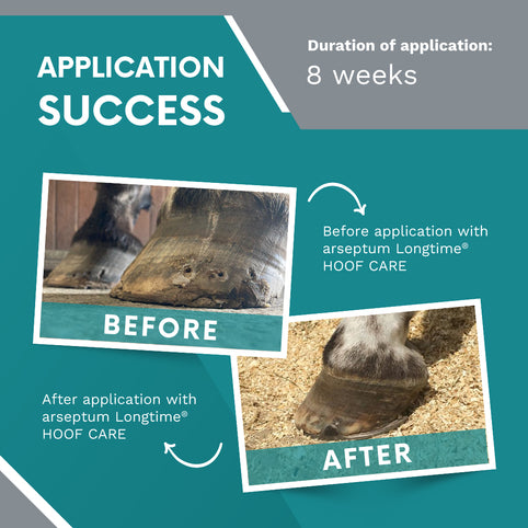 arseptum-longtime-hoof-care